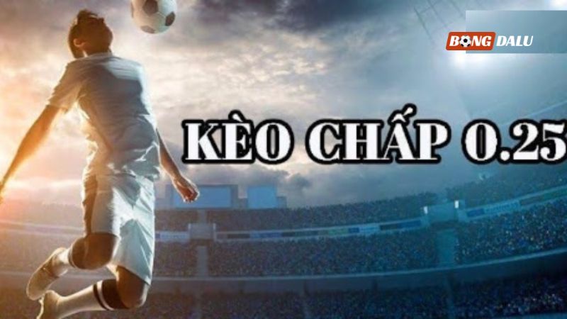 Hiểu đúng về kèo chấp đồng banh nửa trái Hiểu đúng về kèo chấp đồng banh nửa trái