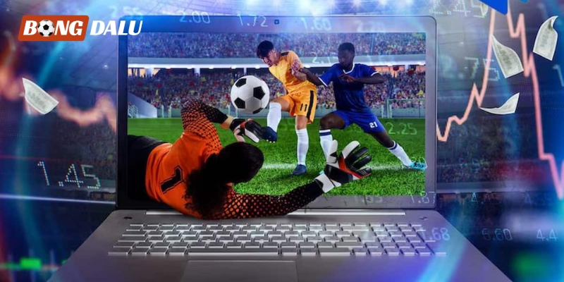 Top 10 Nhà Cái Uy Tín Cá Cược World Cup 2026