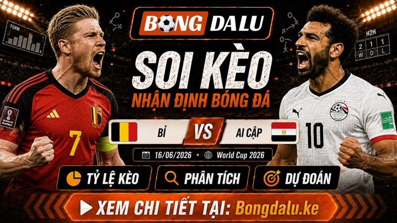 Đội hình ra sân dự kiến của Bỉ vs Ai Cập Đội hình ra sân dự kiến của Bỉ vs Ai Cập