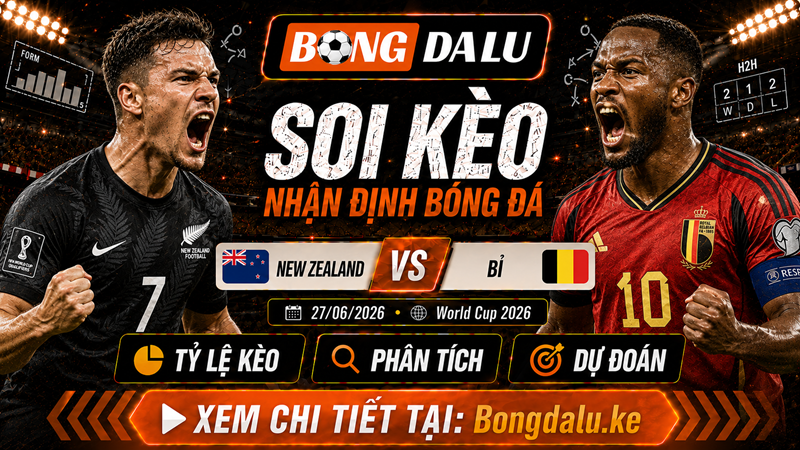 Lực lượng dự kiến trận New Zealand vs Bỉ Lực lượng dự kiến trận New Zealand vs Bỉ