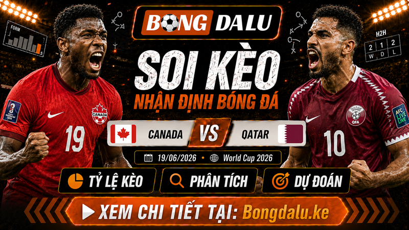 Lực lượng trận Canada vs Qatar dự kiến Lực lượng trận Canada vs Qatar dự kiến